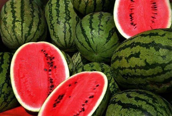 減量のためのスイカ